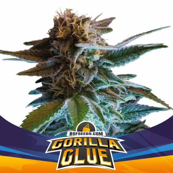 Gorilla Glue Auto x7, BSF