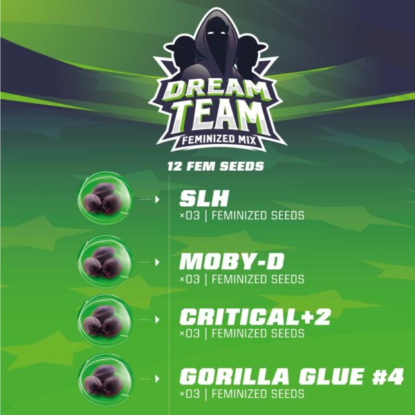 Dream Team Fem Mix x12, BSF