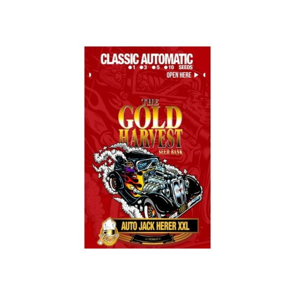 Auto Jack Herer XXL x3, The Gold Harvest